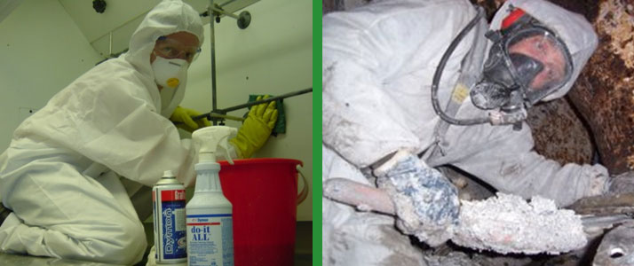 decontamination specialists